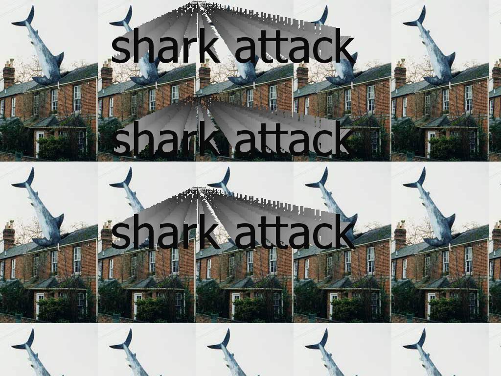 sharkattck