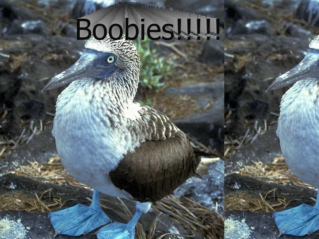 optimusprimeboobies