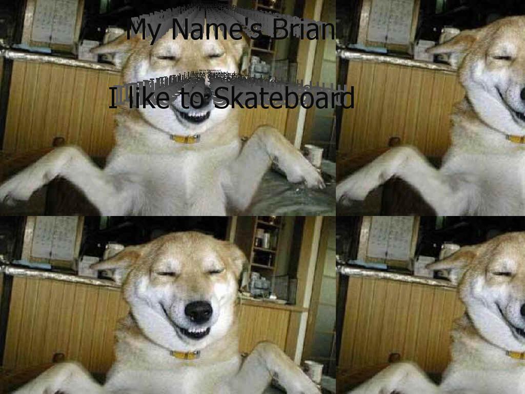 mynamesbrianiliketoskateboard