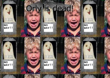 orly is dead!!!!