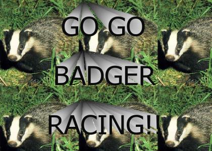 Badger racing