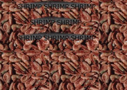 gump on shrimp