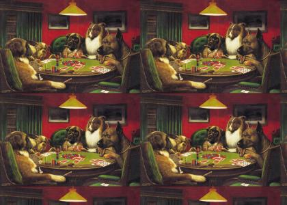 dogs play poker