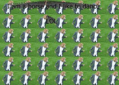 Horses like to dance too!