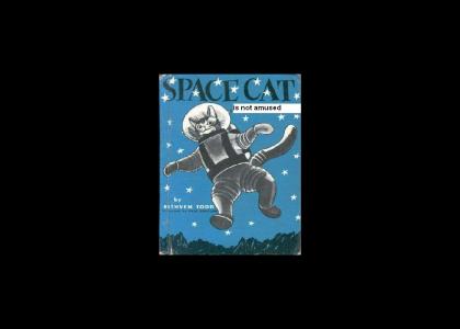 gravity cat creates a childrens book