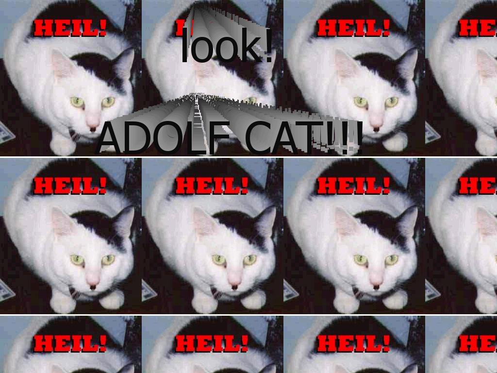 adolfcat