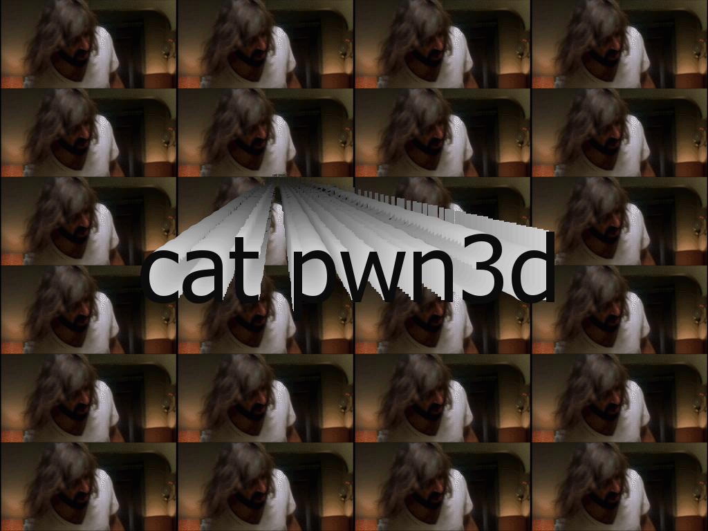 catpwn3d