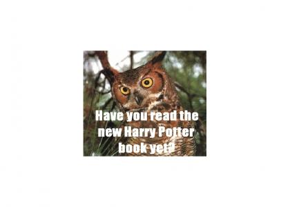 O rly and Ya Rly talk about Harrpy Potter