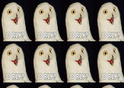 O RLY OWL LOOKALIKE FOUND ON MYSPACE