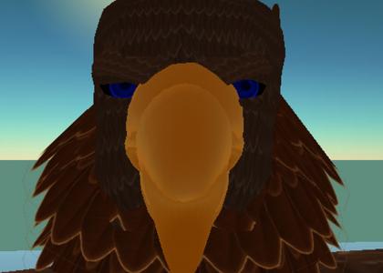 Eaglebird stares into your soul