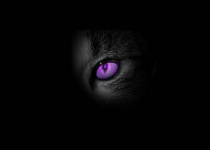 Cat's Eye Nebula in a cats eye