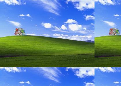 Katamari Windows XP