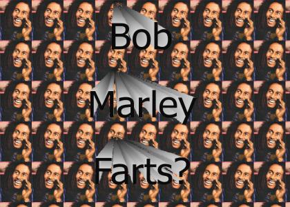 bob marley farts