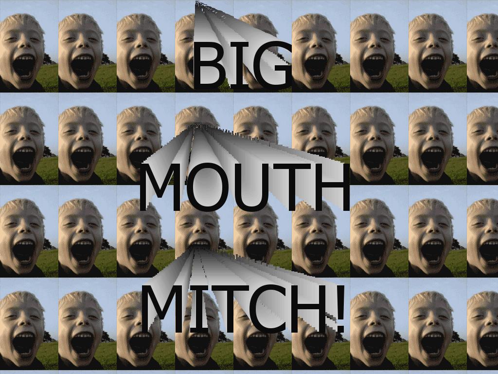 bigmouthmitch
