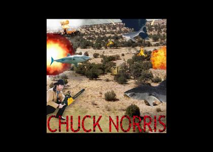 chuck norris'  birthday in the desert