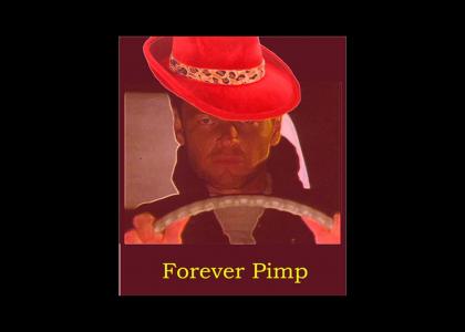 Forever Pimp