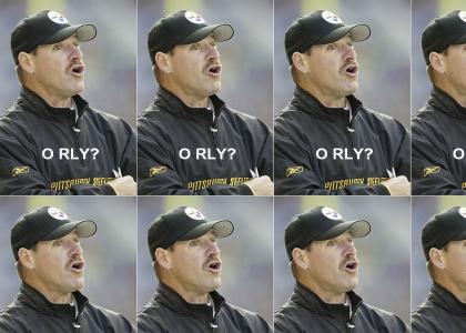 O RLY? Steelers Edition