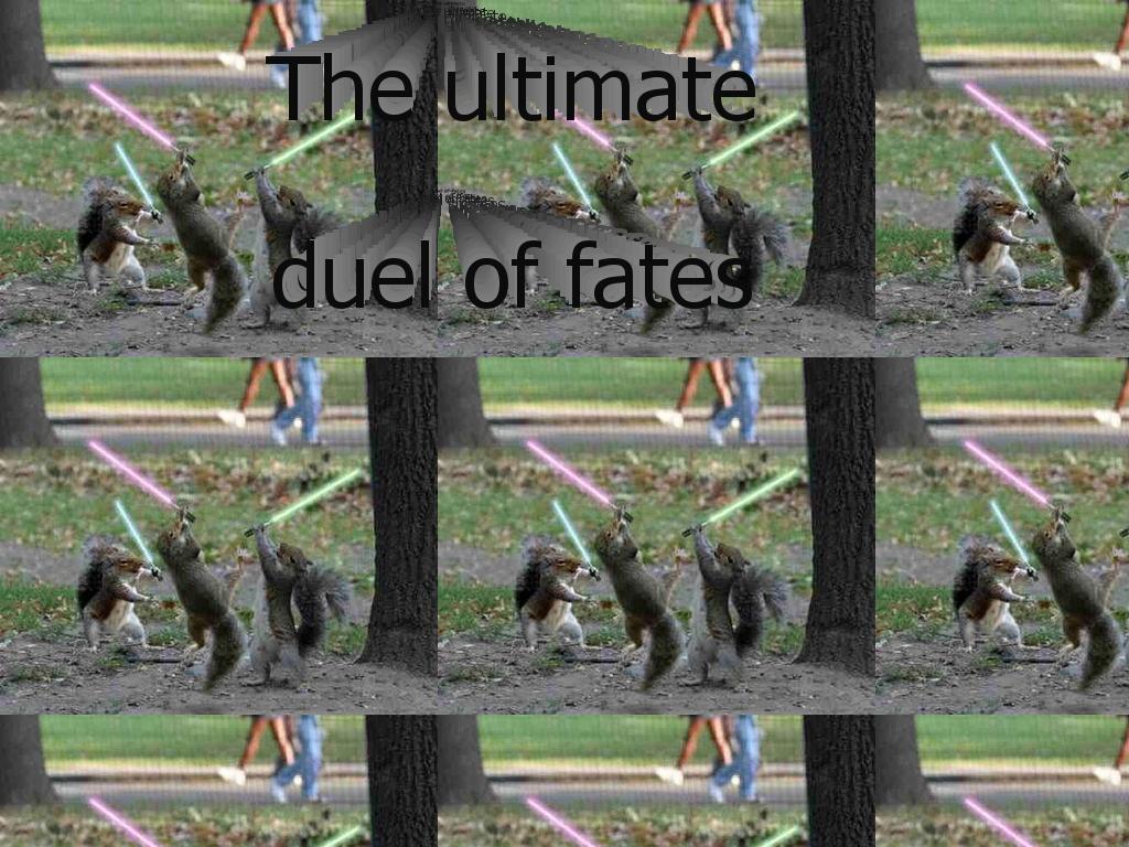 duelofsquirrels