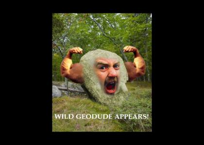 Wild Geodude Appears!