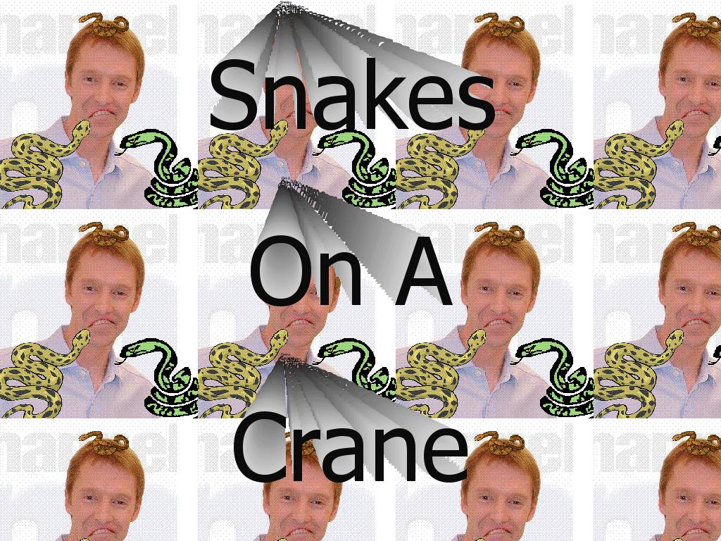 snakesonacrane