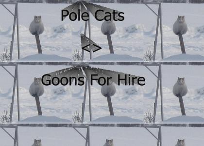 The Pole Cats are NOT goons for hire