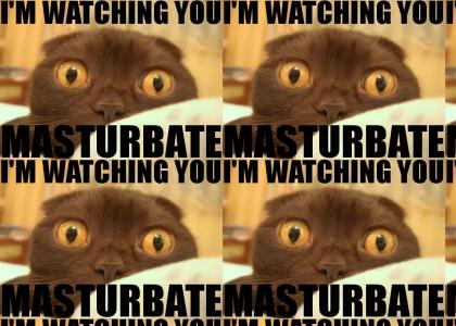 I'm Watchin You
