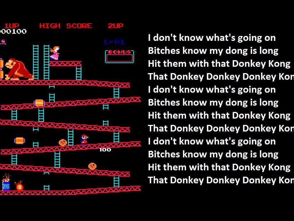 thatdonkeydonkeydonkeykong