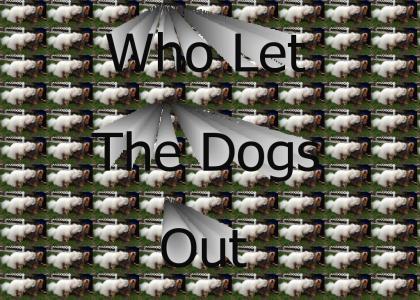 Who Let The Dogs Out?