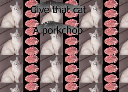 give tat cat a porkchop