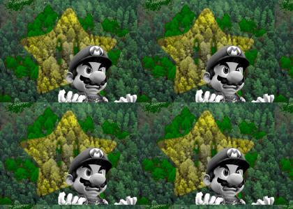OMG Secret Mario Forest!!