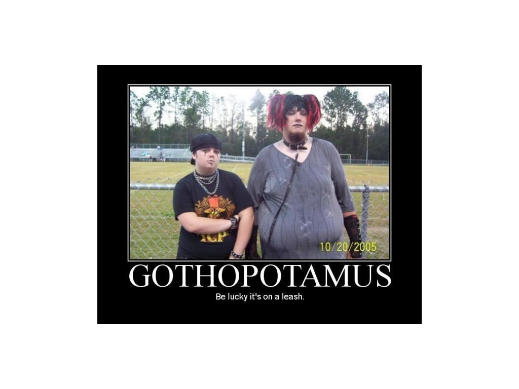 gothapotomus
