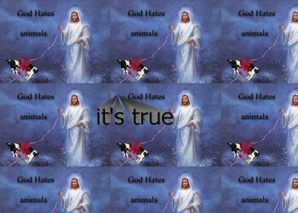 God hates animals