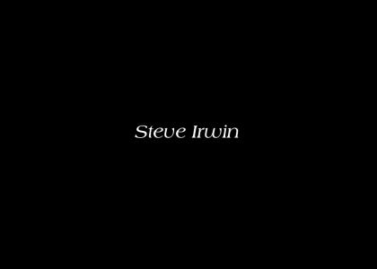 Irwin Tribute *UPDATED*