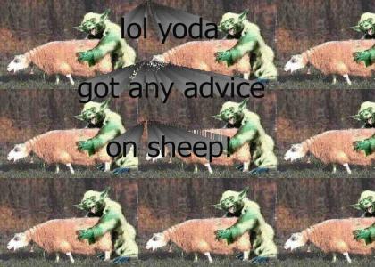 lol yoda rules teh sheep