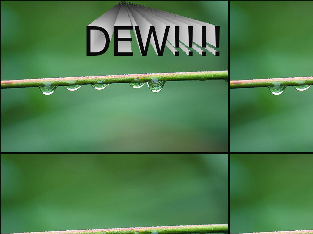 metaldew