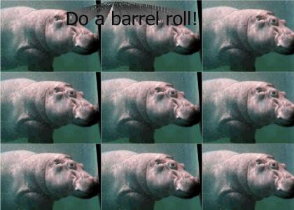 Do a Hippo Roll