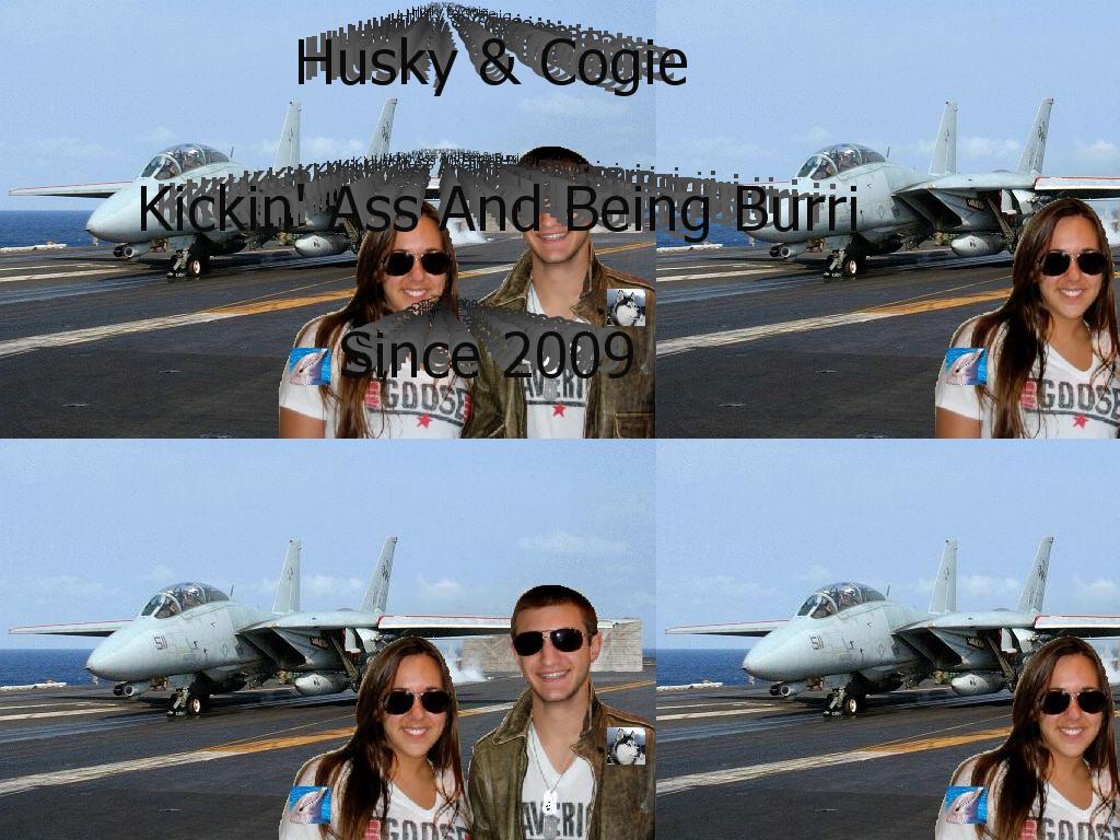 HuskyCogie