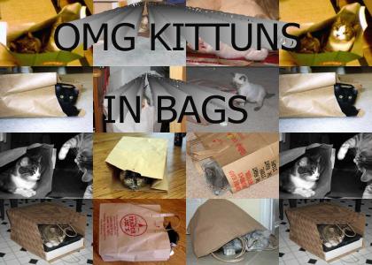 OMG KITTUNS IN BAGS