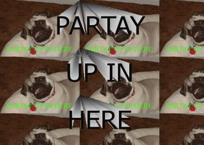 PARTAY UP IN HERE