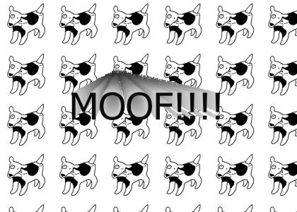 MOOF!!!!!