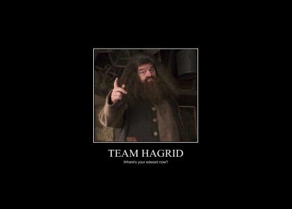 Team Hagrid
