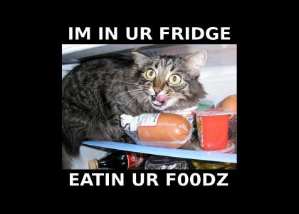 im in ur fridge...
