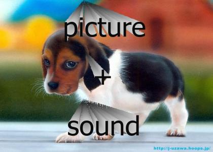 picture + sound = ytmnd