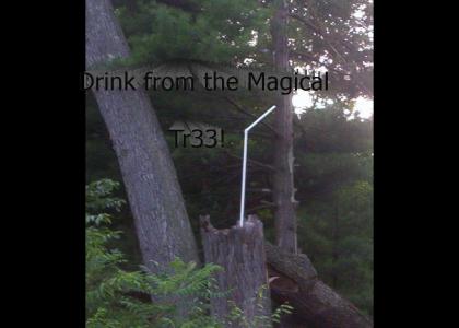 Drink Tree