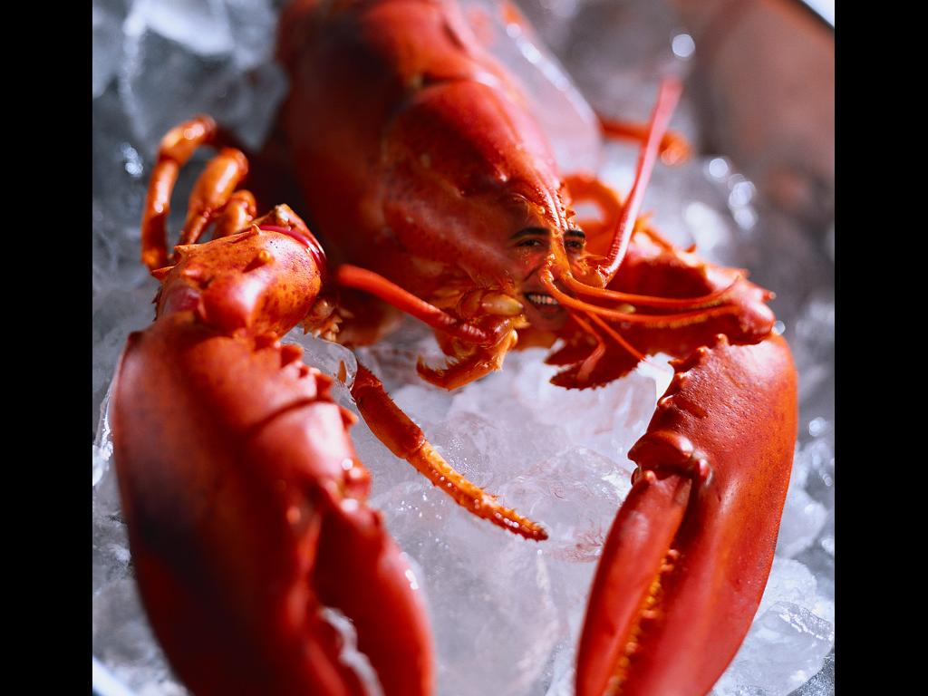 barack-lobster