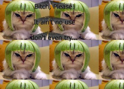 Limecat Isn't Pleased