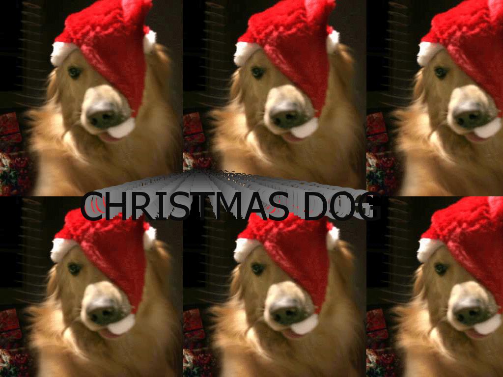christmasdog