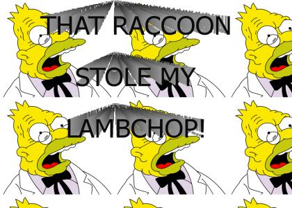 THAT RACCOON STOLE MY LAMBCHOP!