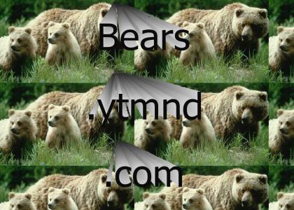 bears.ytmnd.com