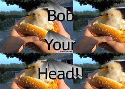 Bob your Head